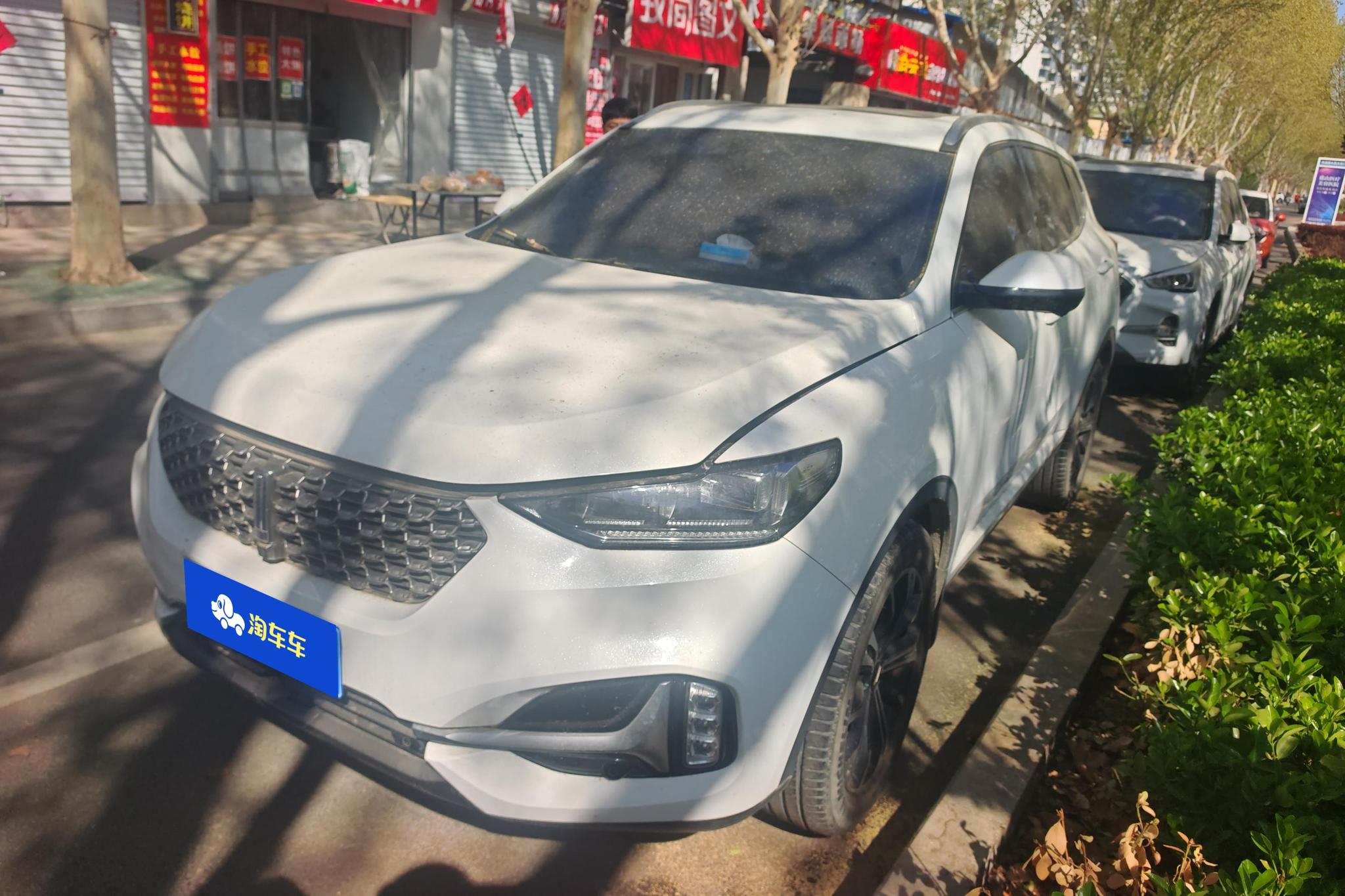 Wey VV6