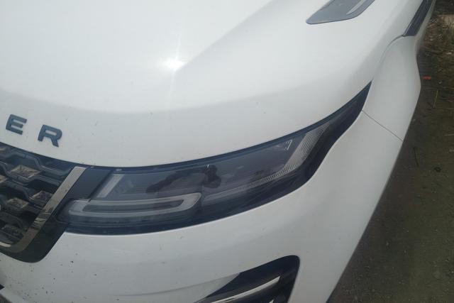Land Rover Range Rover Evoque 2021 L 249 PS R-Dynamic SE — фото 4