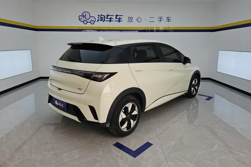 BYD Dolphin 420 KM — фото 3