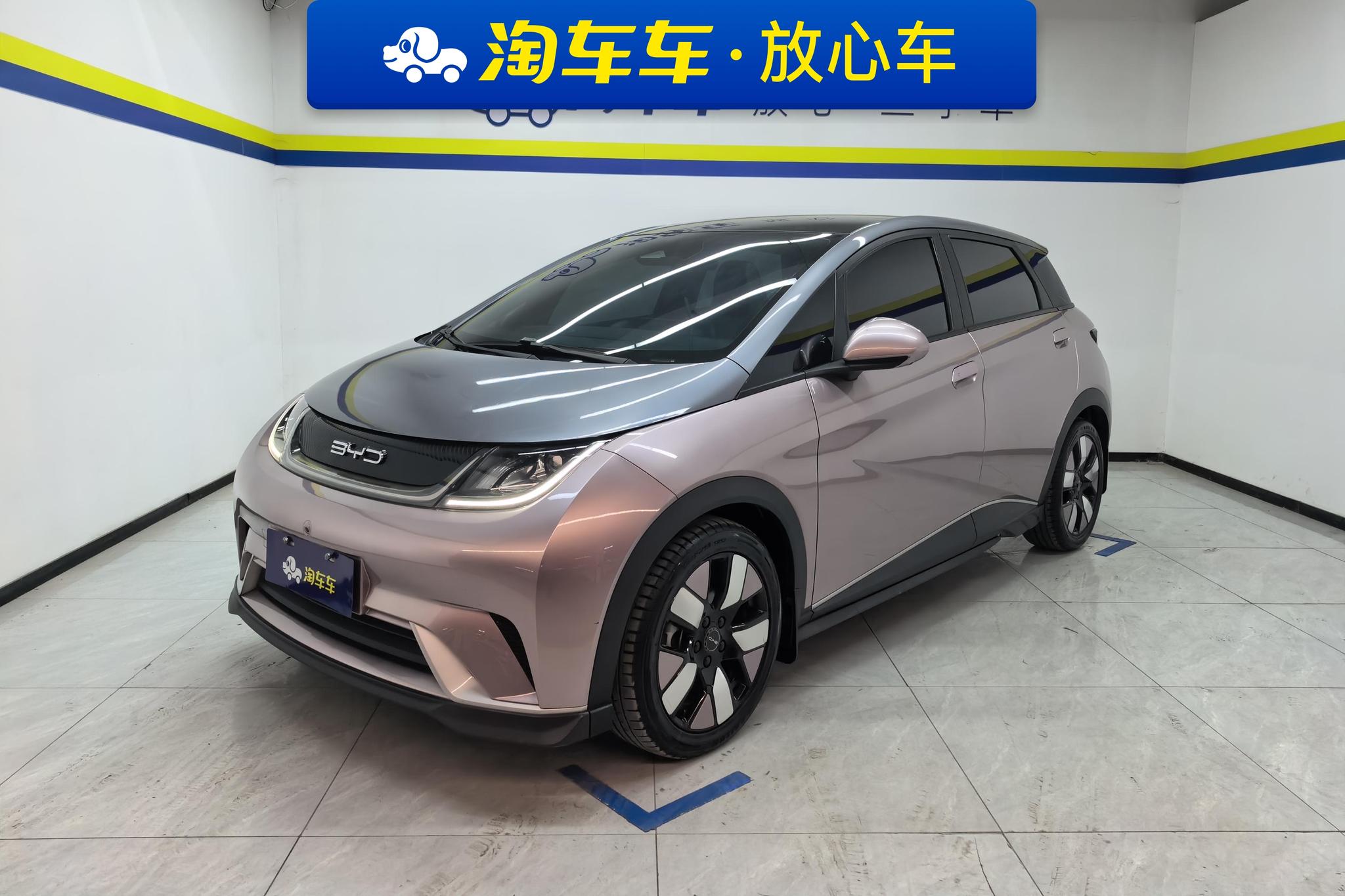 BYD Dolphin