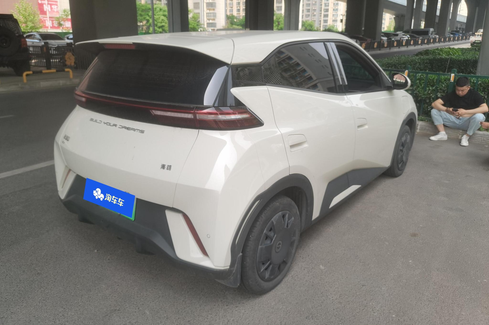 BYD Seagull