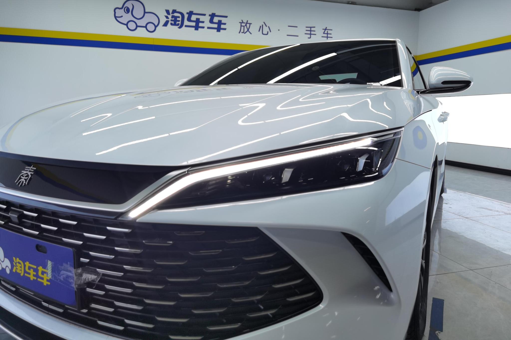 BYD Qin L L DM 2024 DM-i 80KM Lead