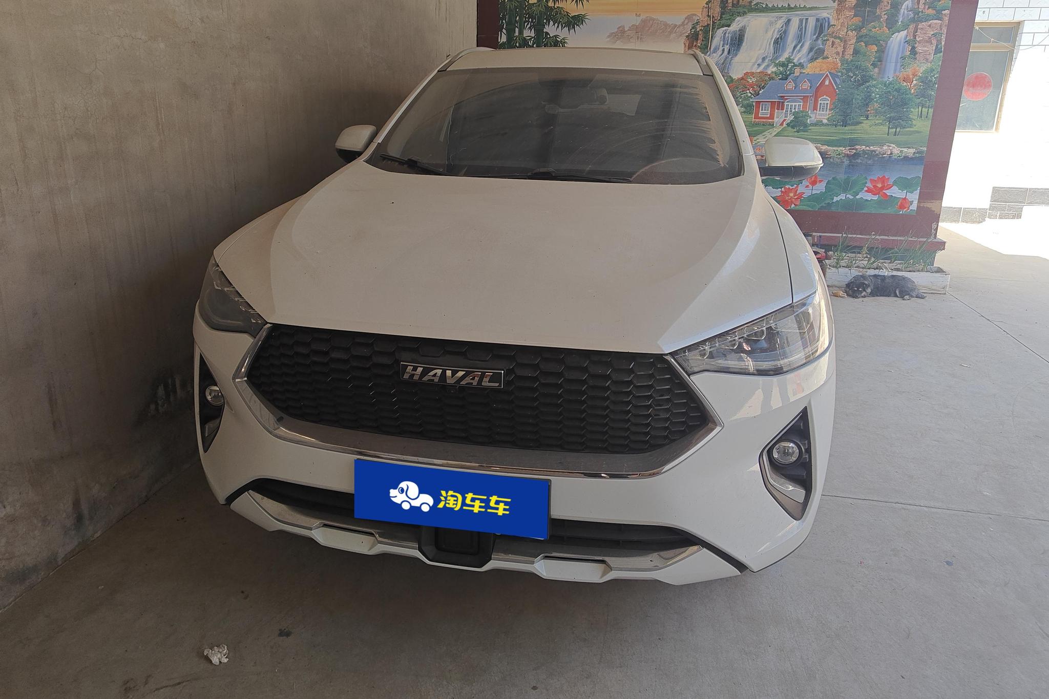 Haval F7 2019 1.5T i VI