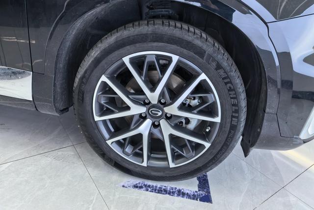Trumpchi GS8 2022 2.0 TM Hybrid 4 WD 7 — фото 7