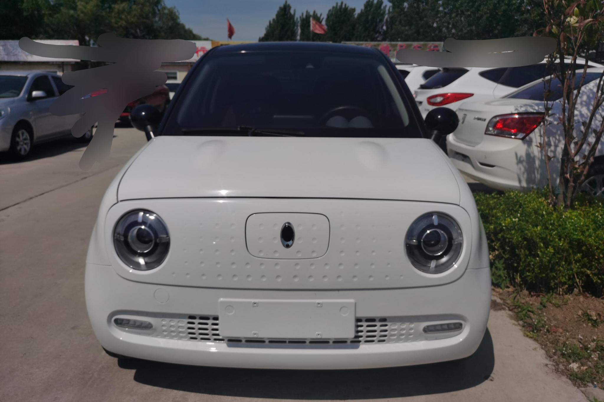 Ora Black Cat 2021 351km Luxury