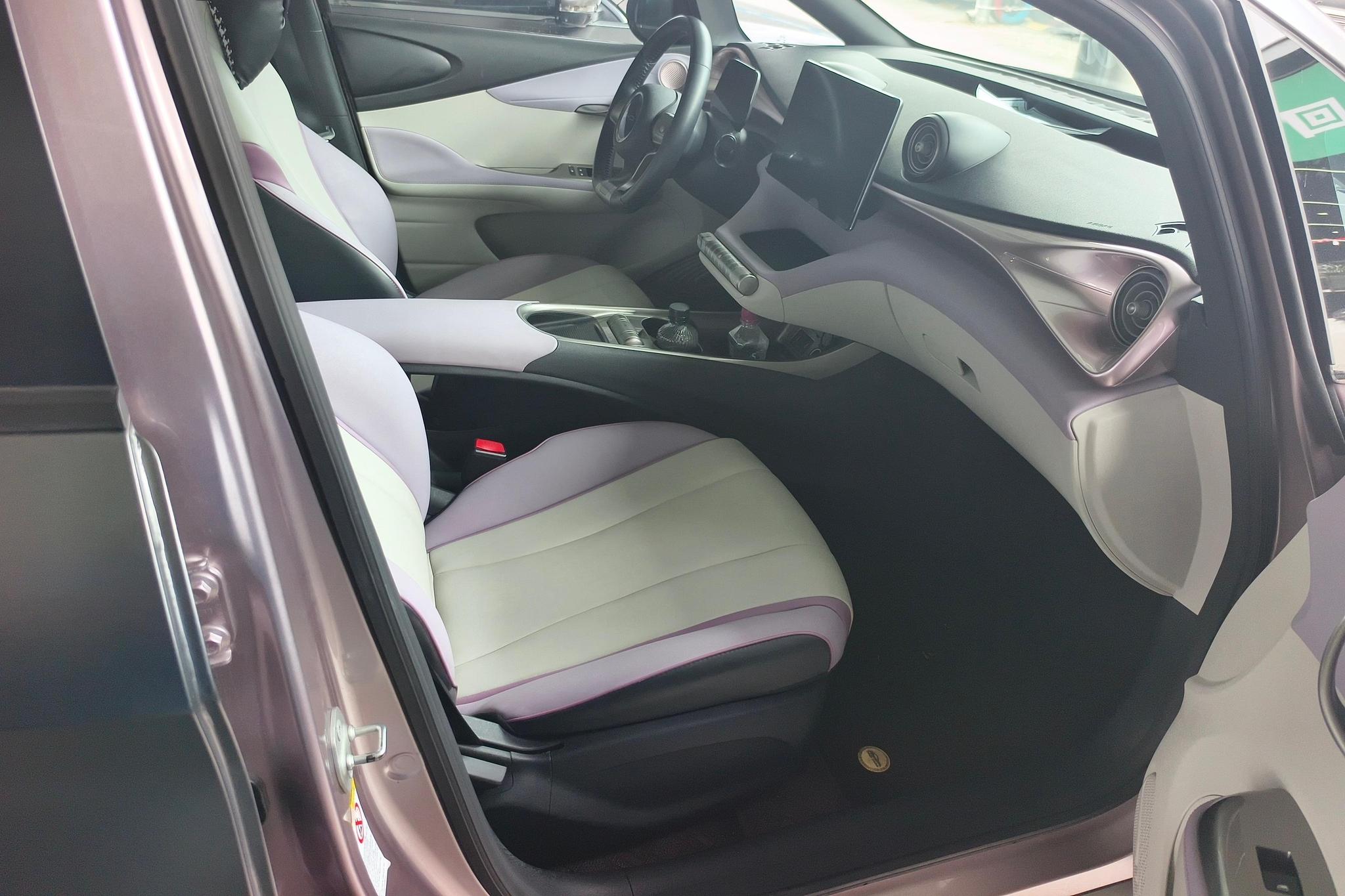 BYD Dolphin 2021 Fashion