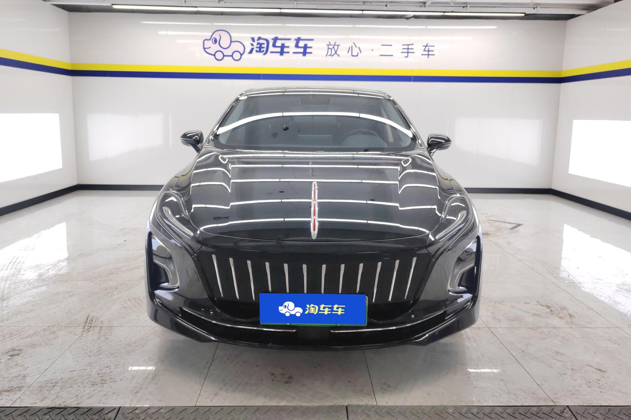Hongqi E-QM5 2022 431km 5 мест