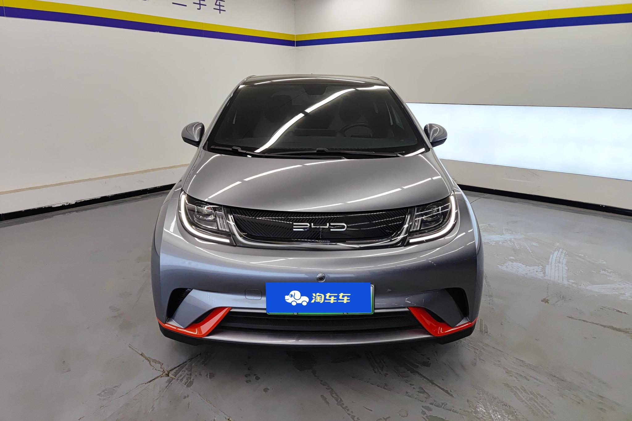 BYD Dolphin 2021 Fashion