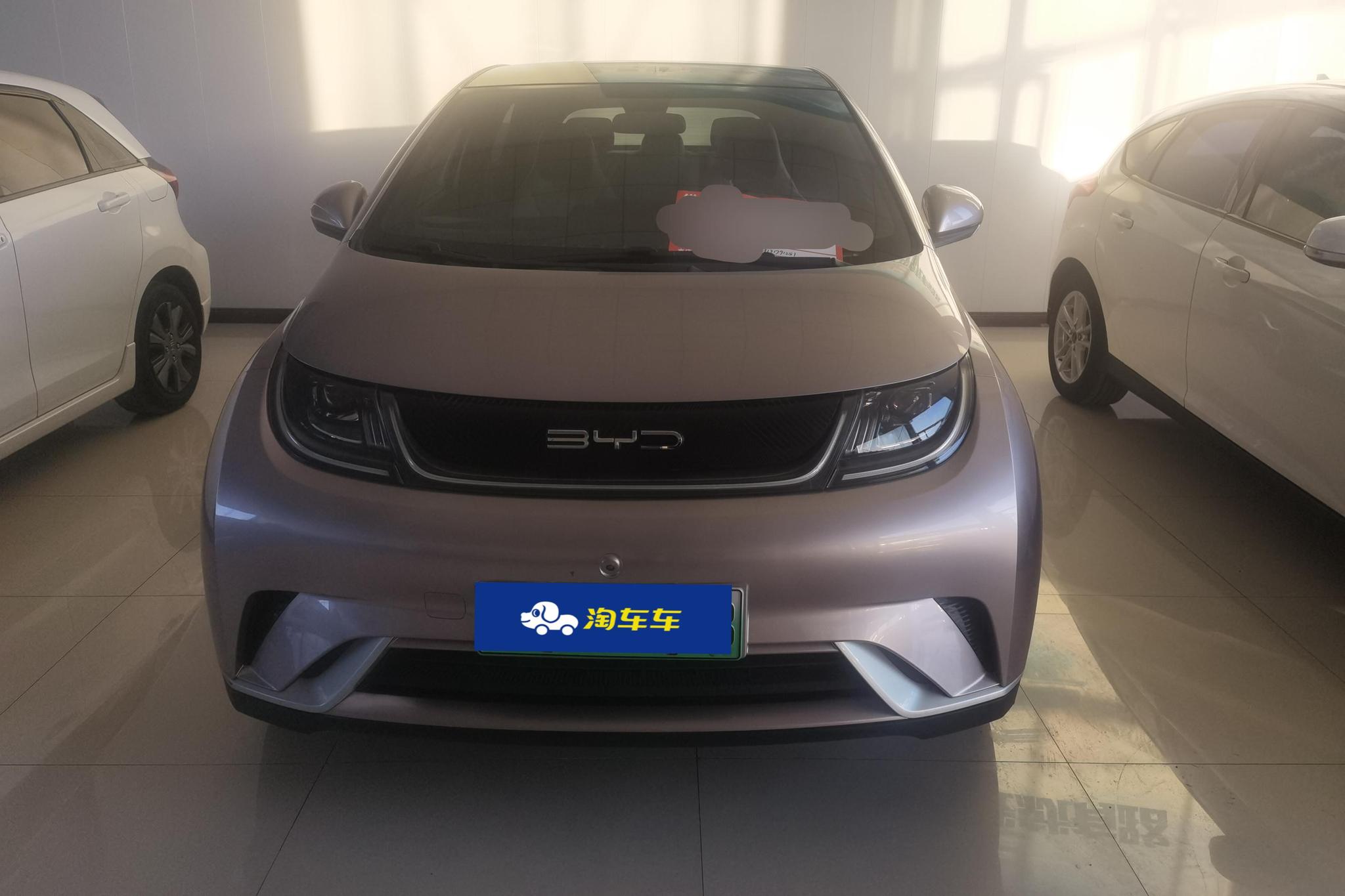 BYD Dolphin 2021 Fashion