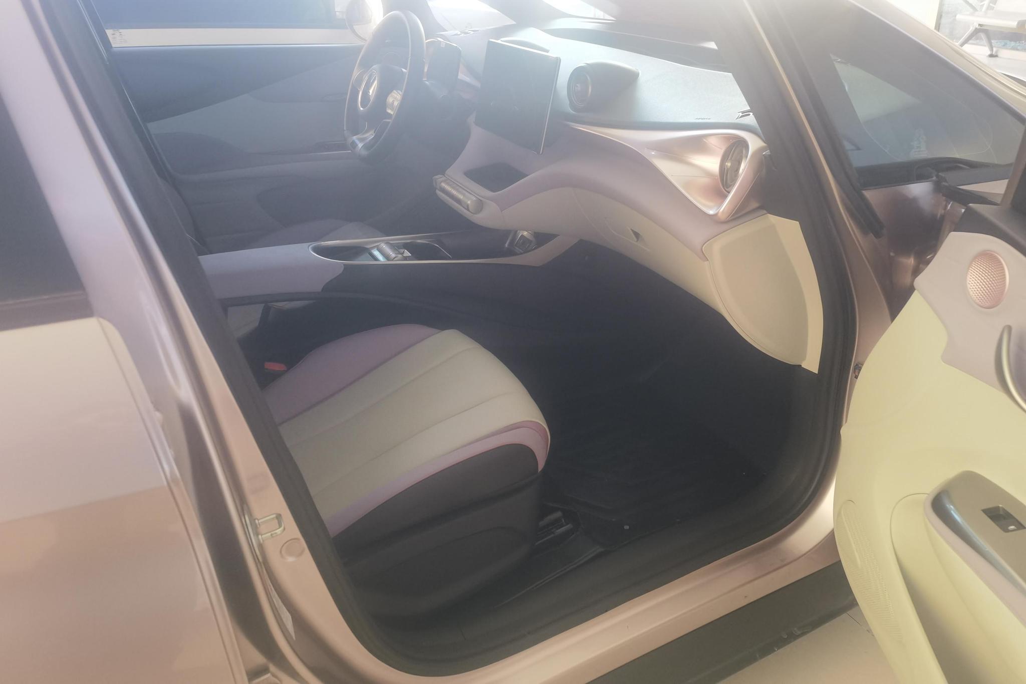BYD Dolphin 2021 Fashion