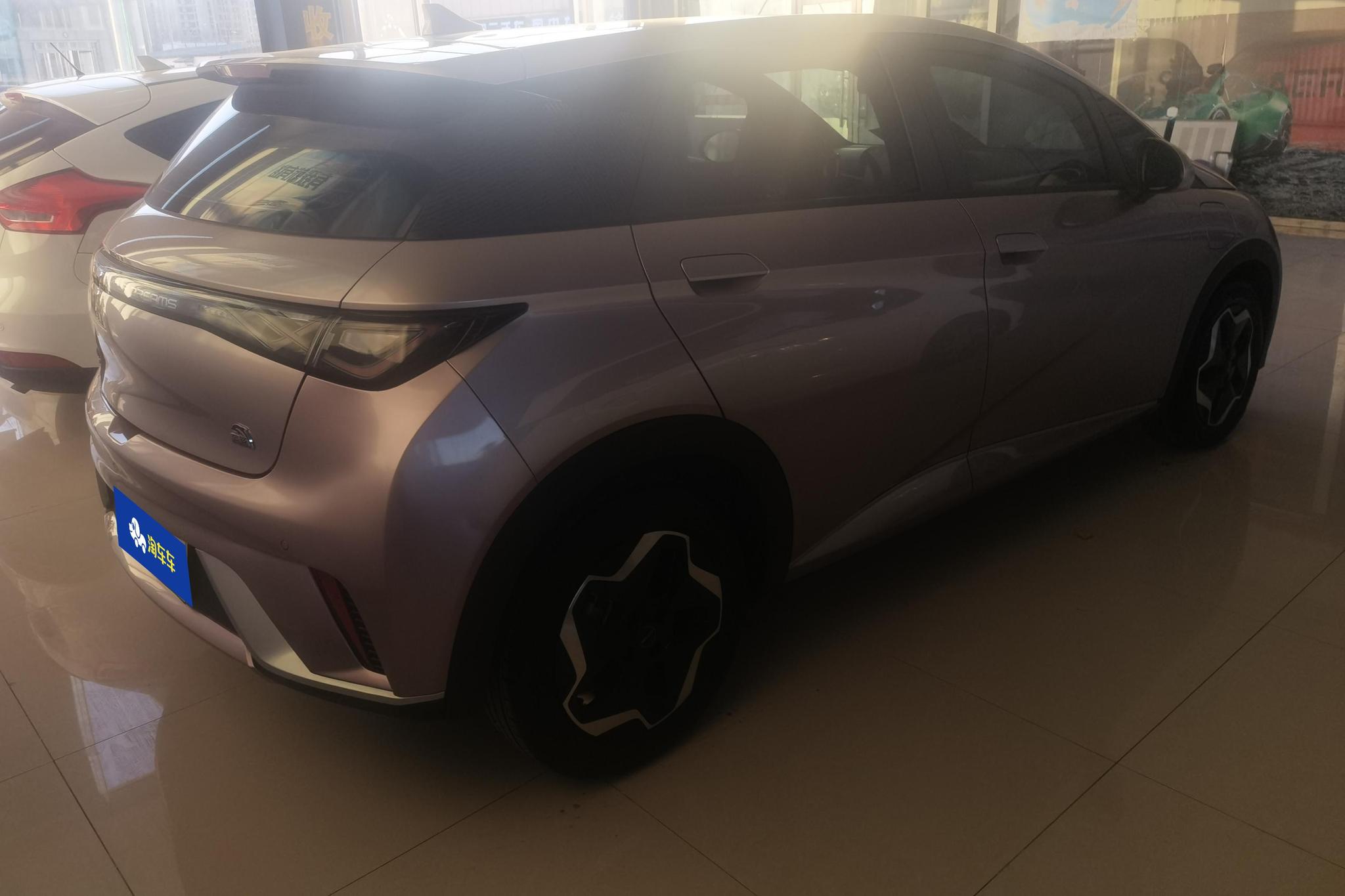 BYD Dolphin 2021 Fashion