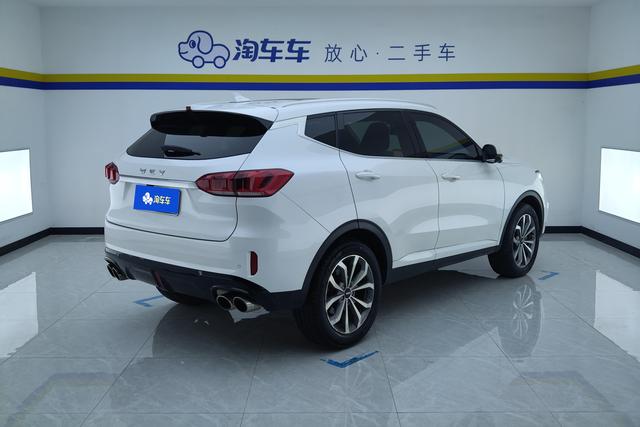 Wei brand Wey VV6 2020 — фото 3
