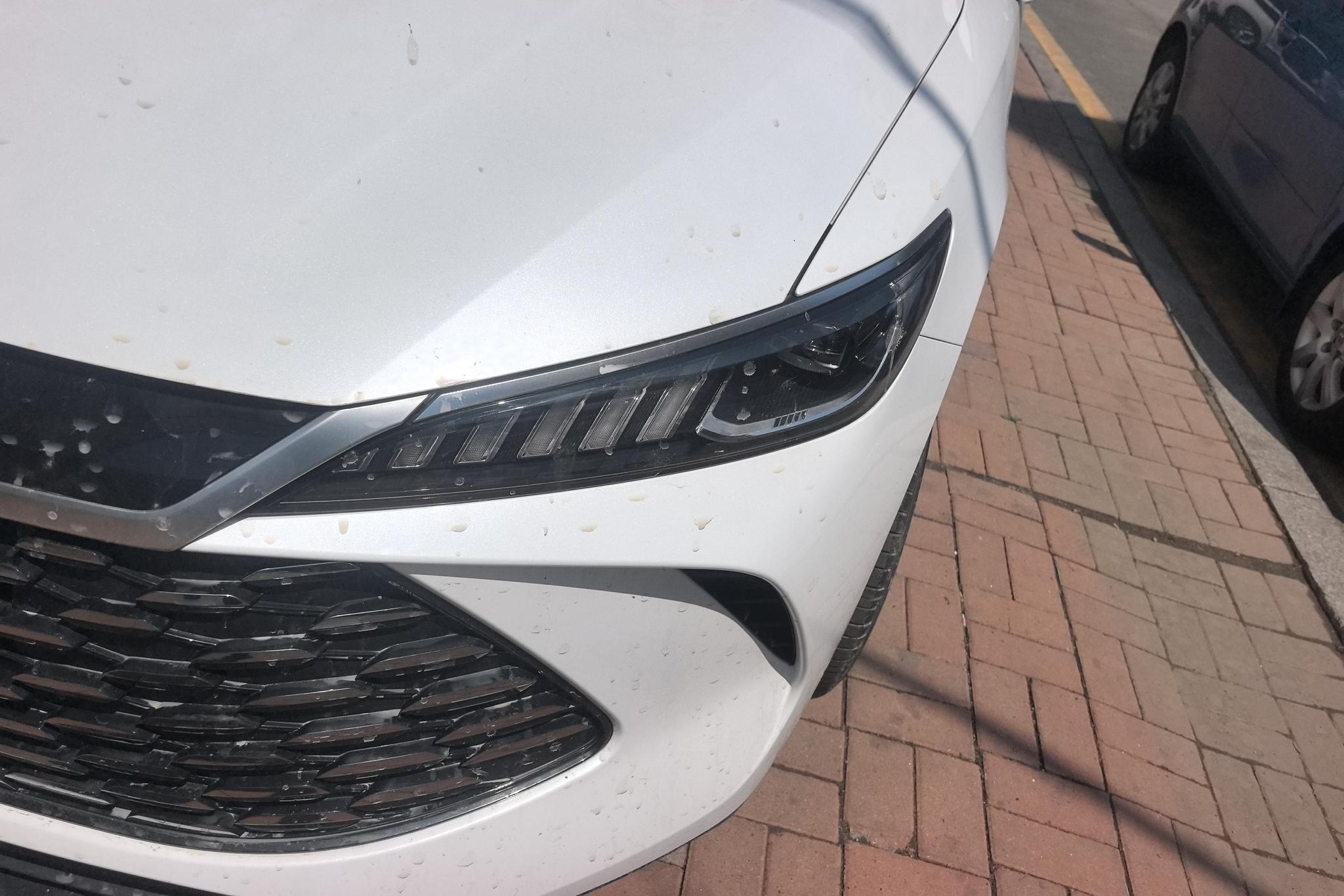 BYD Qin Plus DM-i PLUS DM 2025 Smart Drive DM-i 55KM Lead