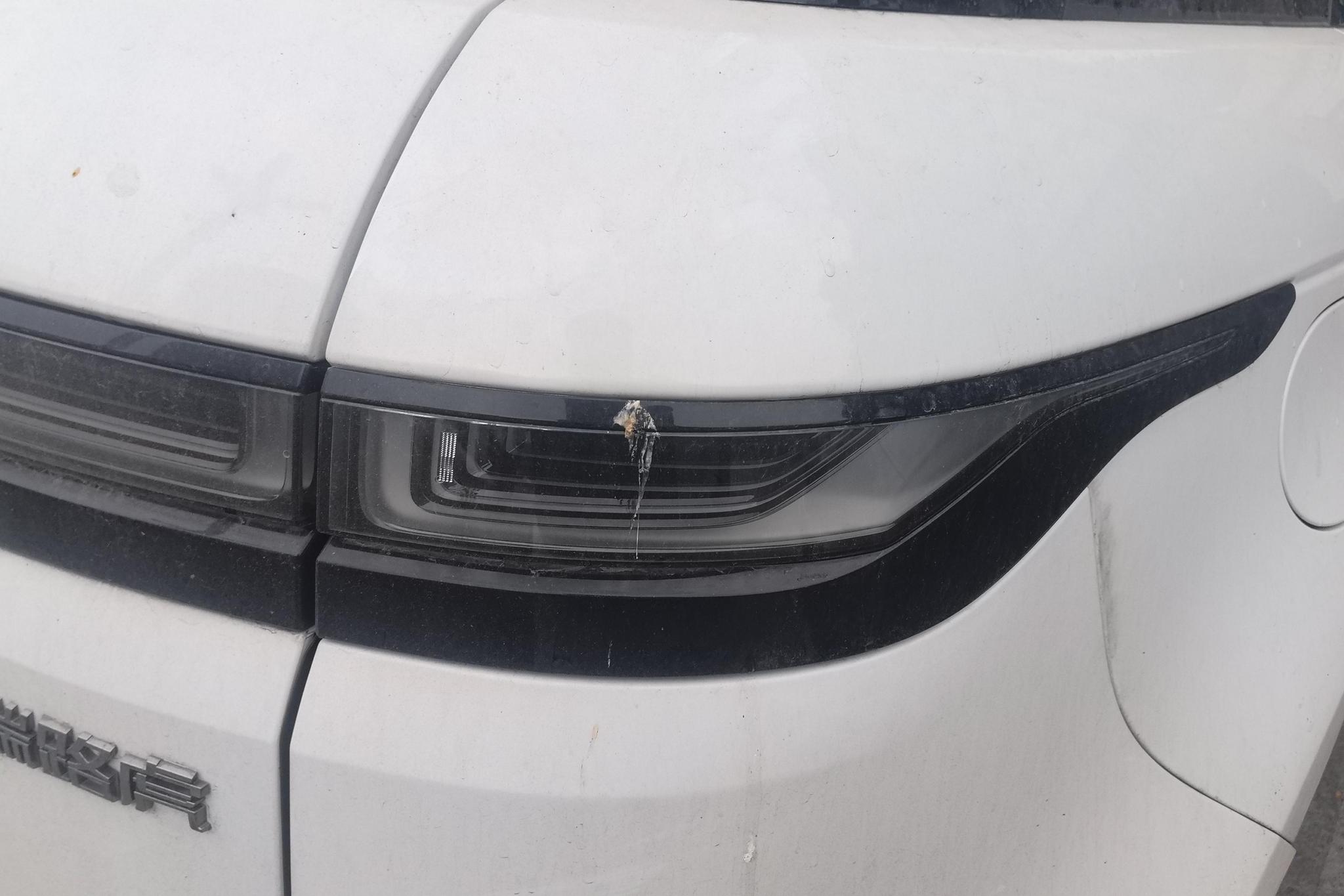 Land Rover Range Rover EvoquePHEV PHEV 2022 L P300e
