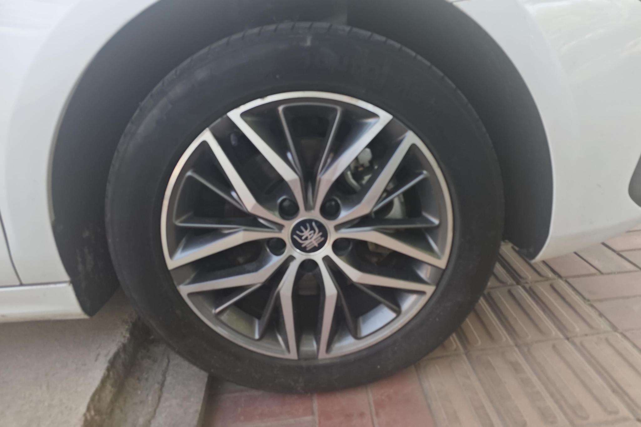 BYD Qin Plus EV PLUS EV 2024 510KM Lead
