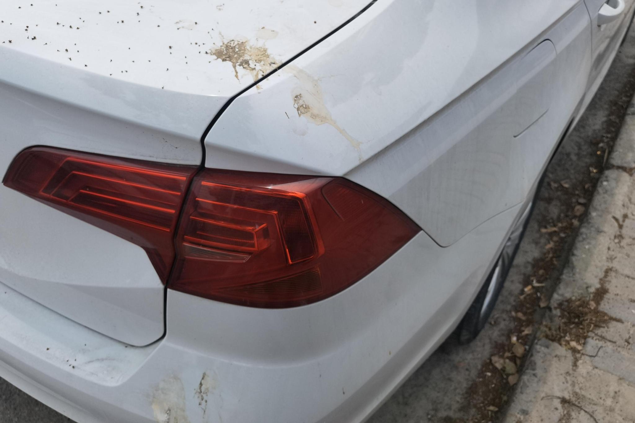 Volkswagen Bora 2019 1.5L AT Fashion VI