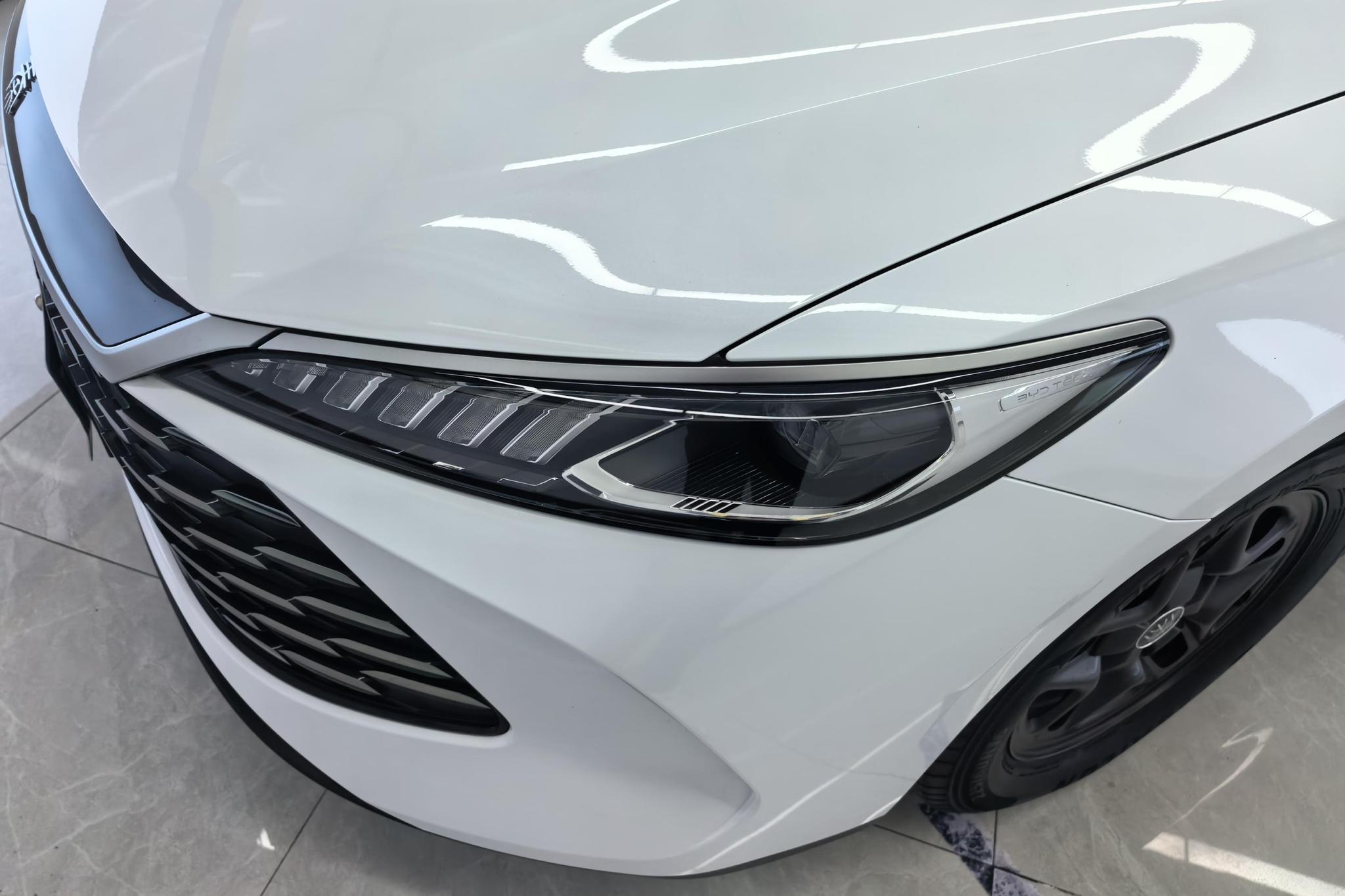 BYD Qin Plus DM-i PLUS DM 2025 Smart Drive DM-i 55KM Lead