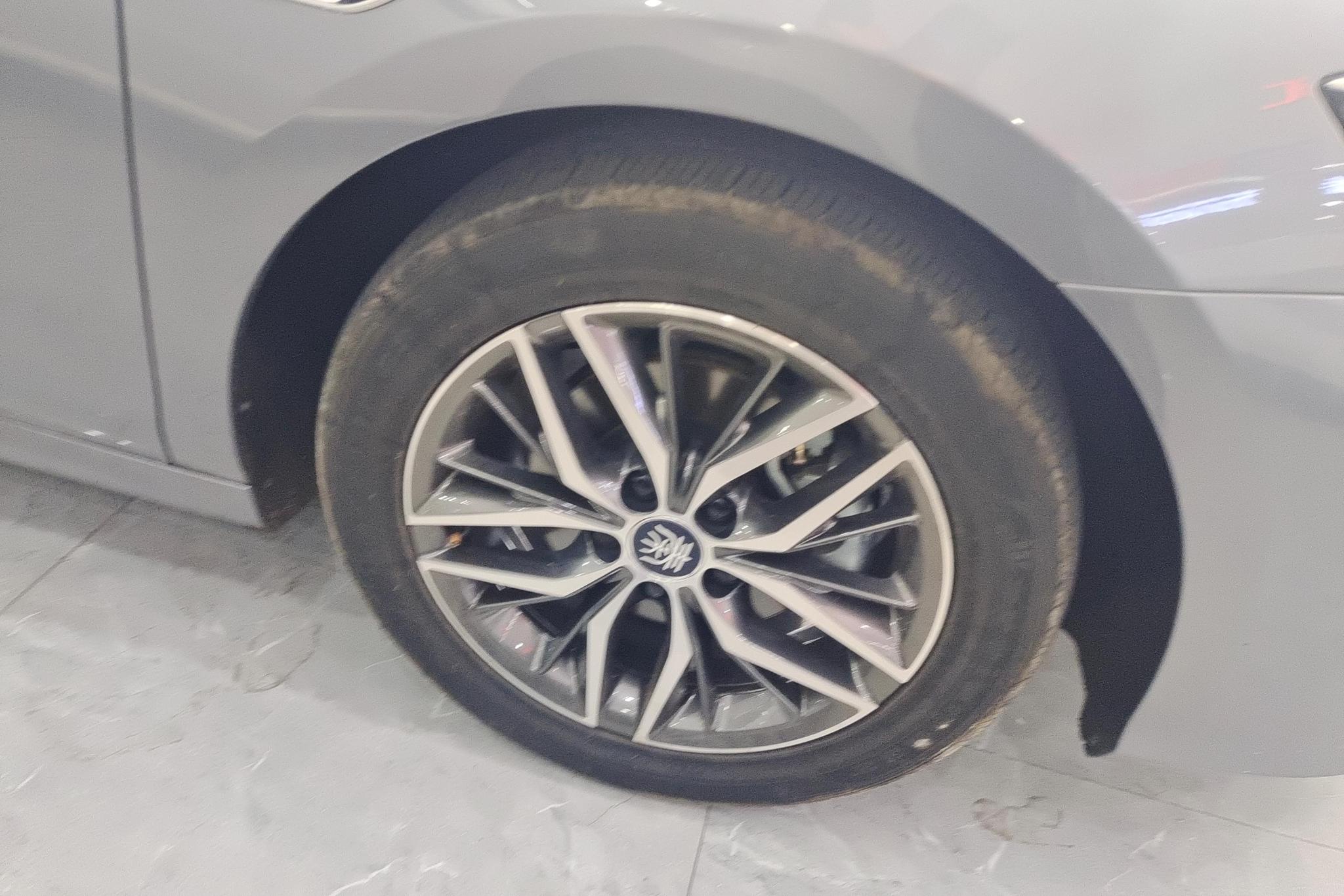 BYD Qin Plus DM-i PLUS DM 2021 DM-i 55KM Luxury