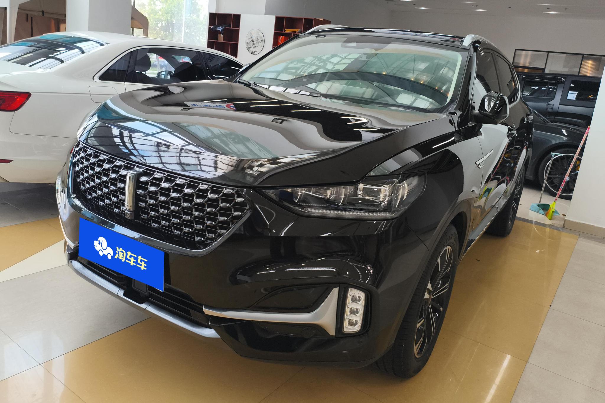 Wey VV6