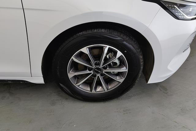 BYD Destroyer 05 2024 DM-i 55 KM Luxury — фото 10