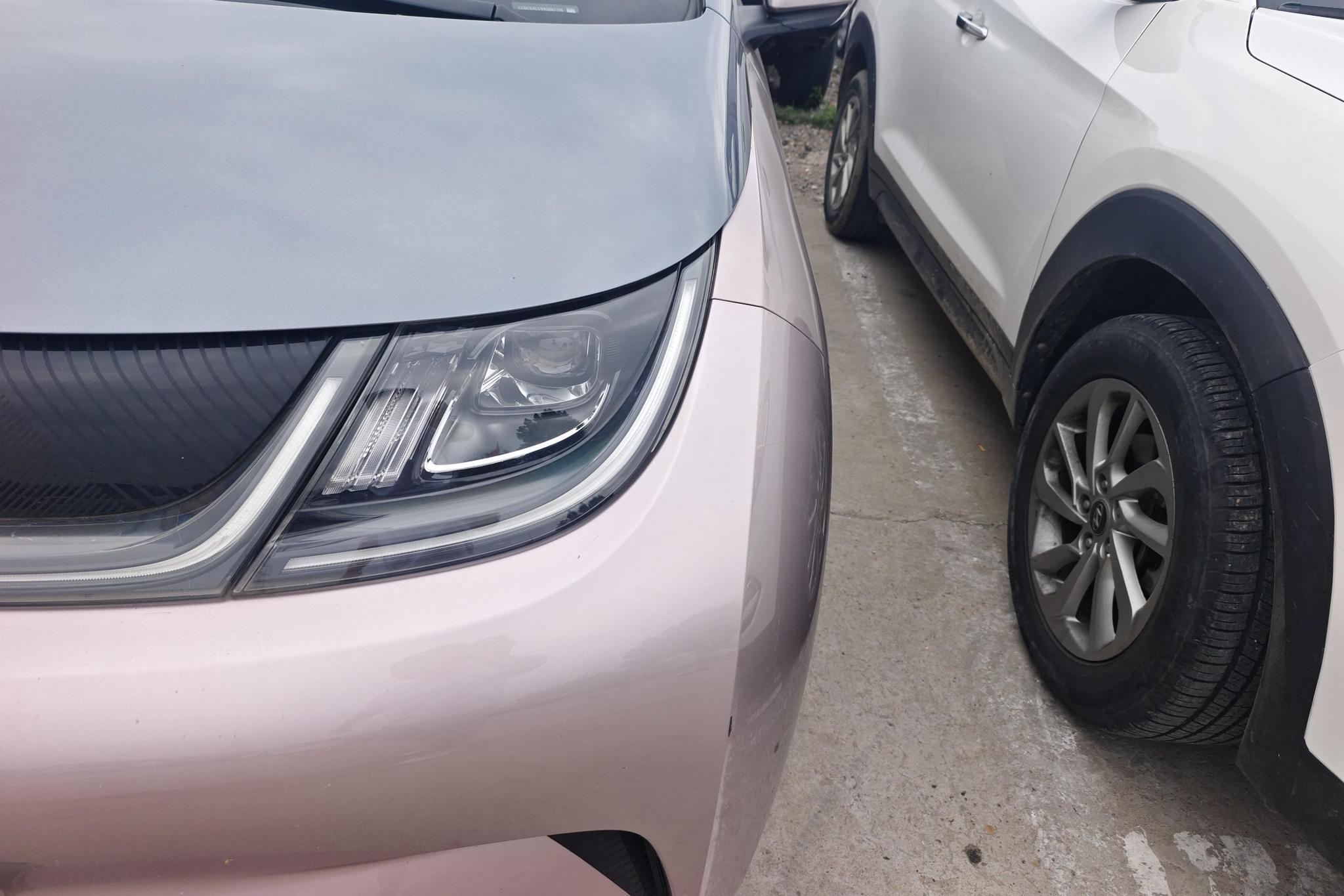 BYD Dolphin 2021 Fashion