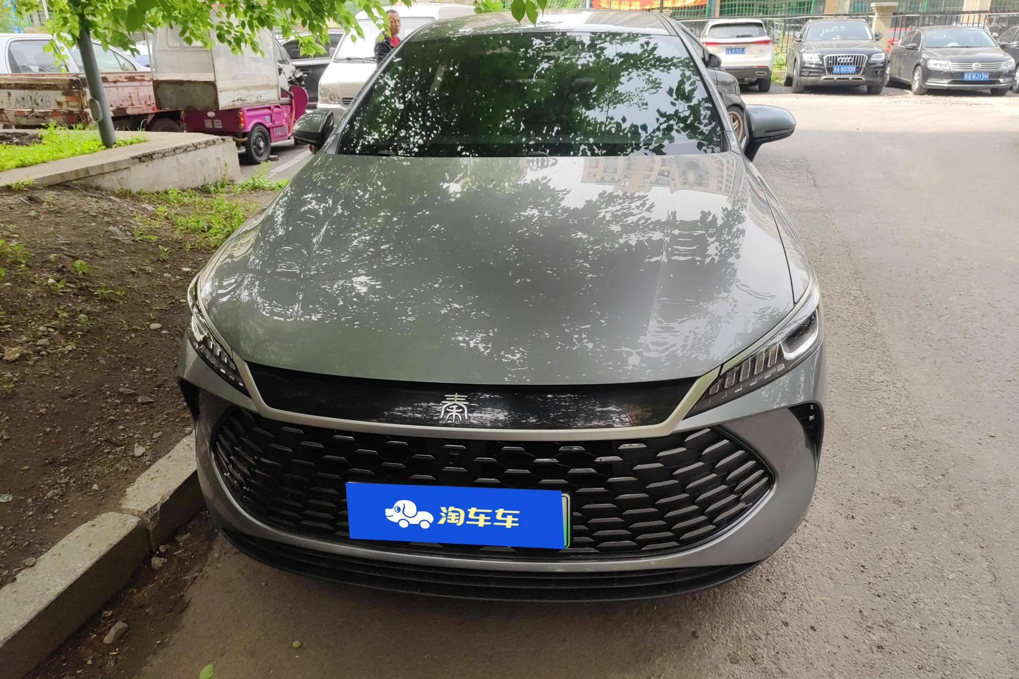 BYD Qin Plus DM-i PLUS DM 2025 Smart Drive DM-i 55KM Lead