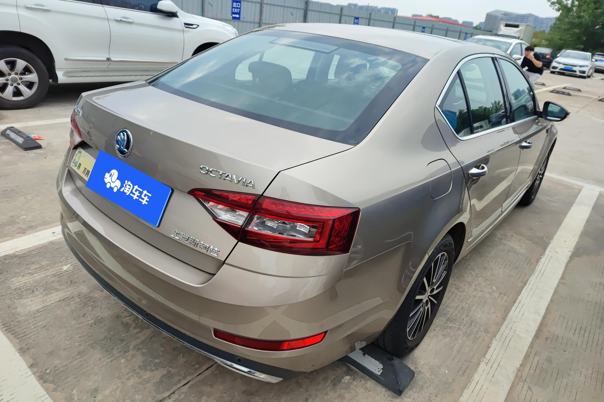 Skoda Octavia 2019 1.5L AT Luxury