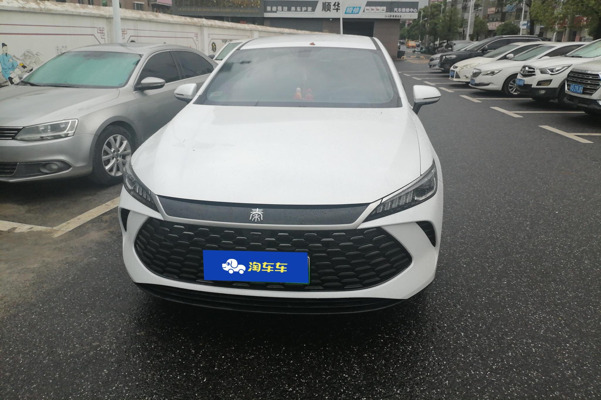 BYD Qin Plus DM-i PLUS DM 2025 Smart Drive DM-i 55KM Lead