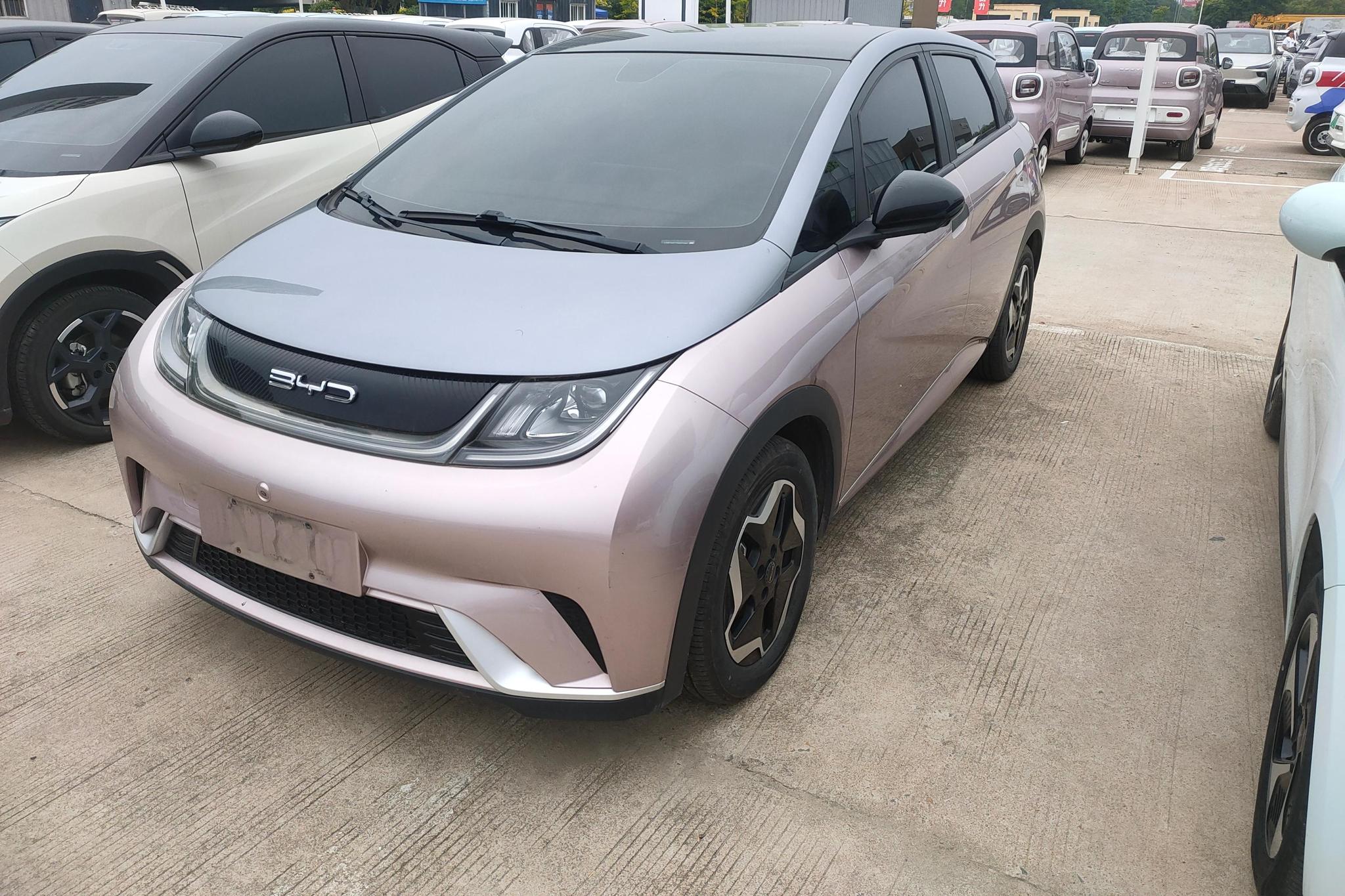 BYD Dolphin