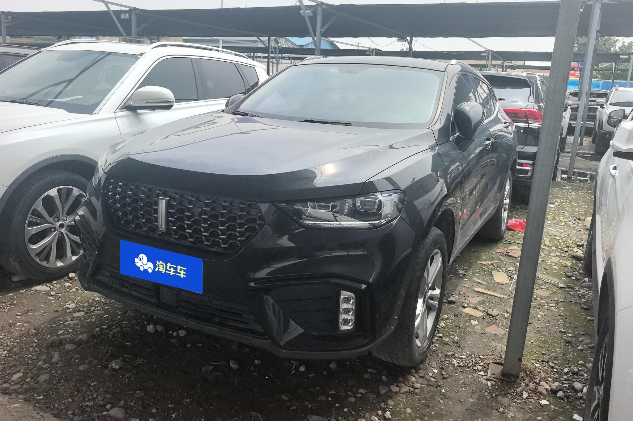 Wey VV5