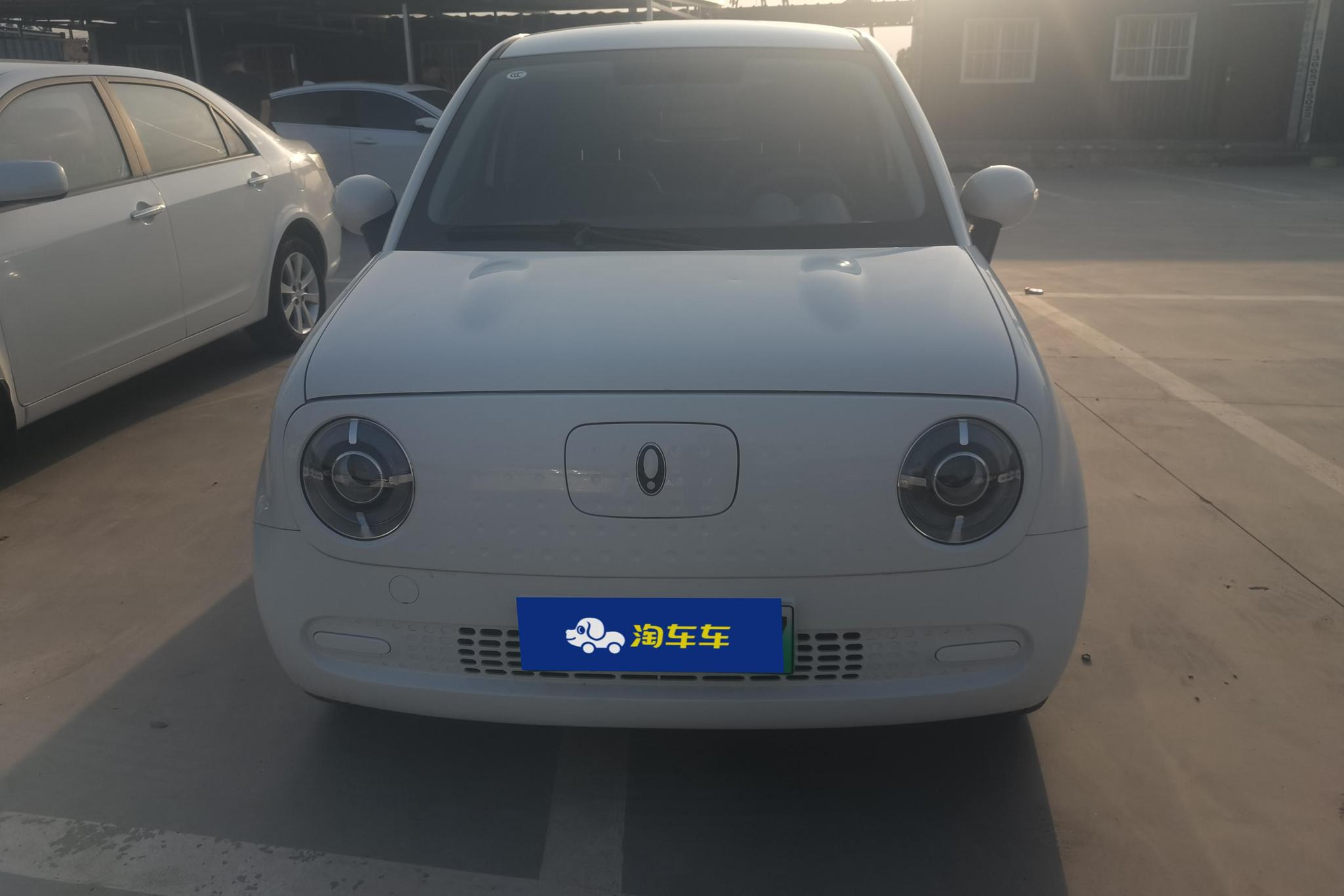Ora Black Cat 2019 301km Standard