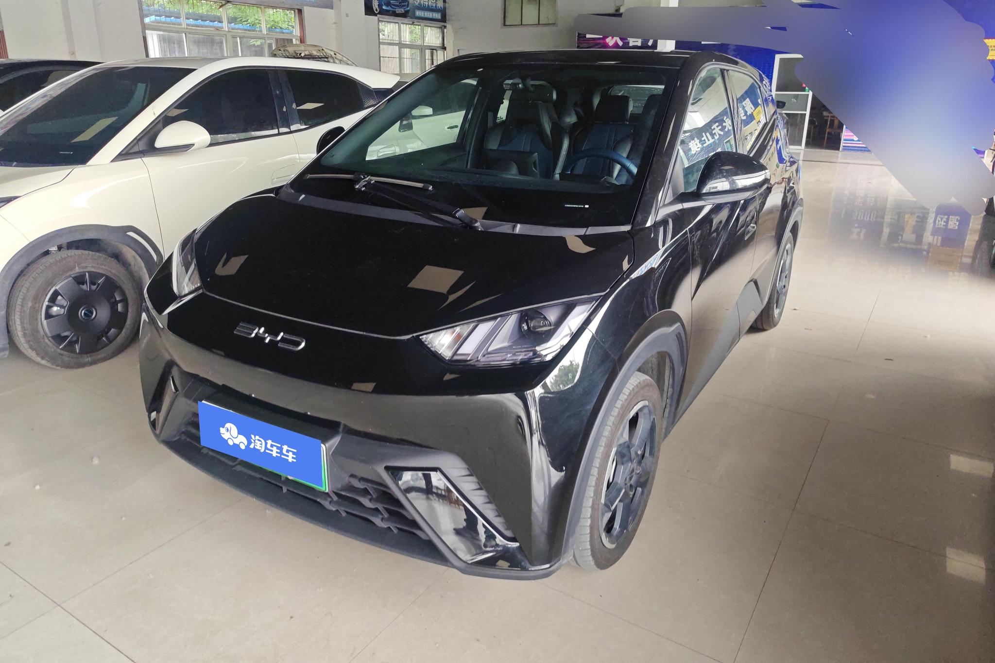 BYD Seagull