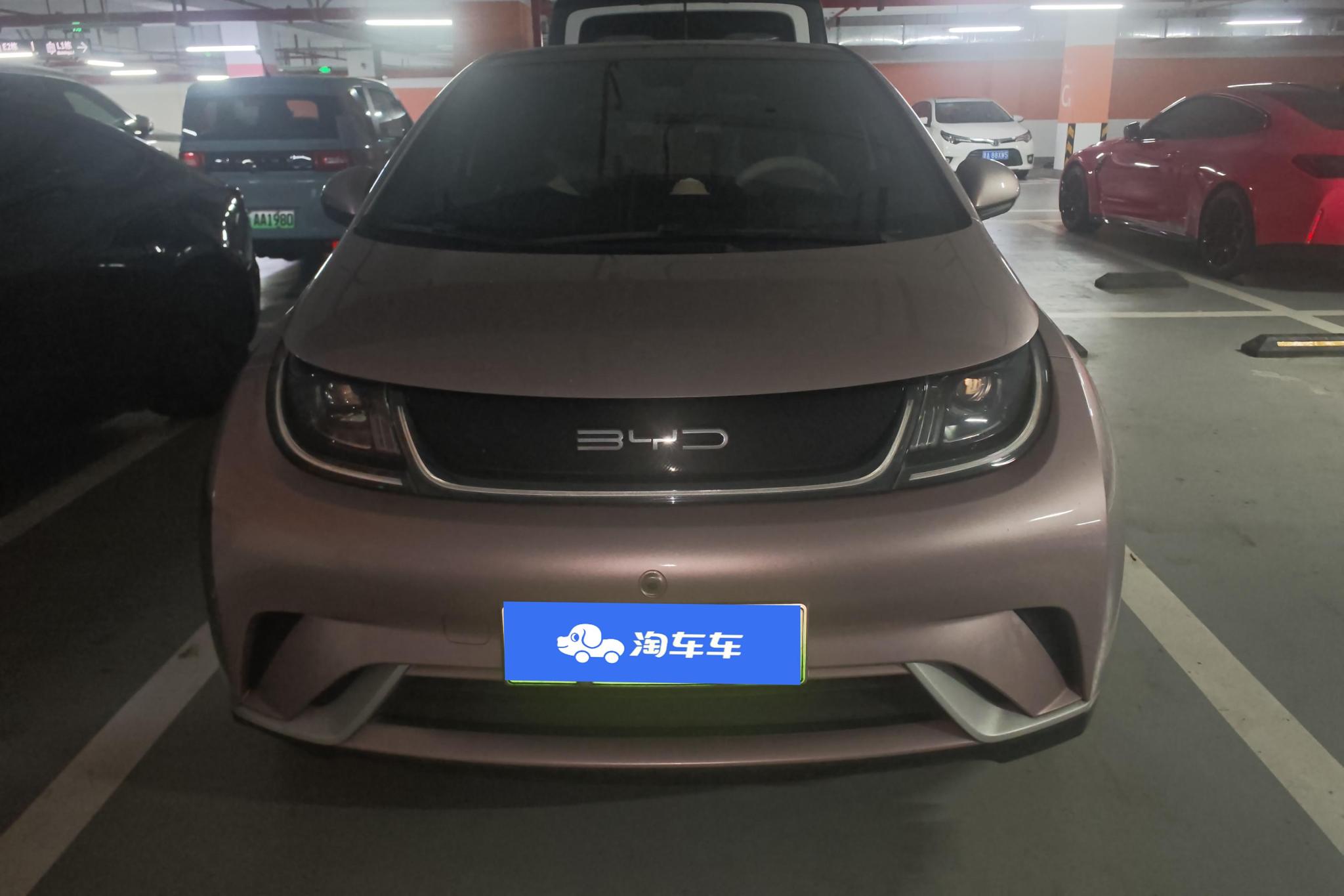 BYD Dolphin 2021 Fashion