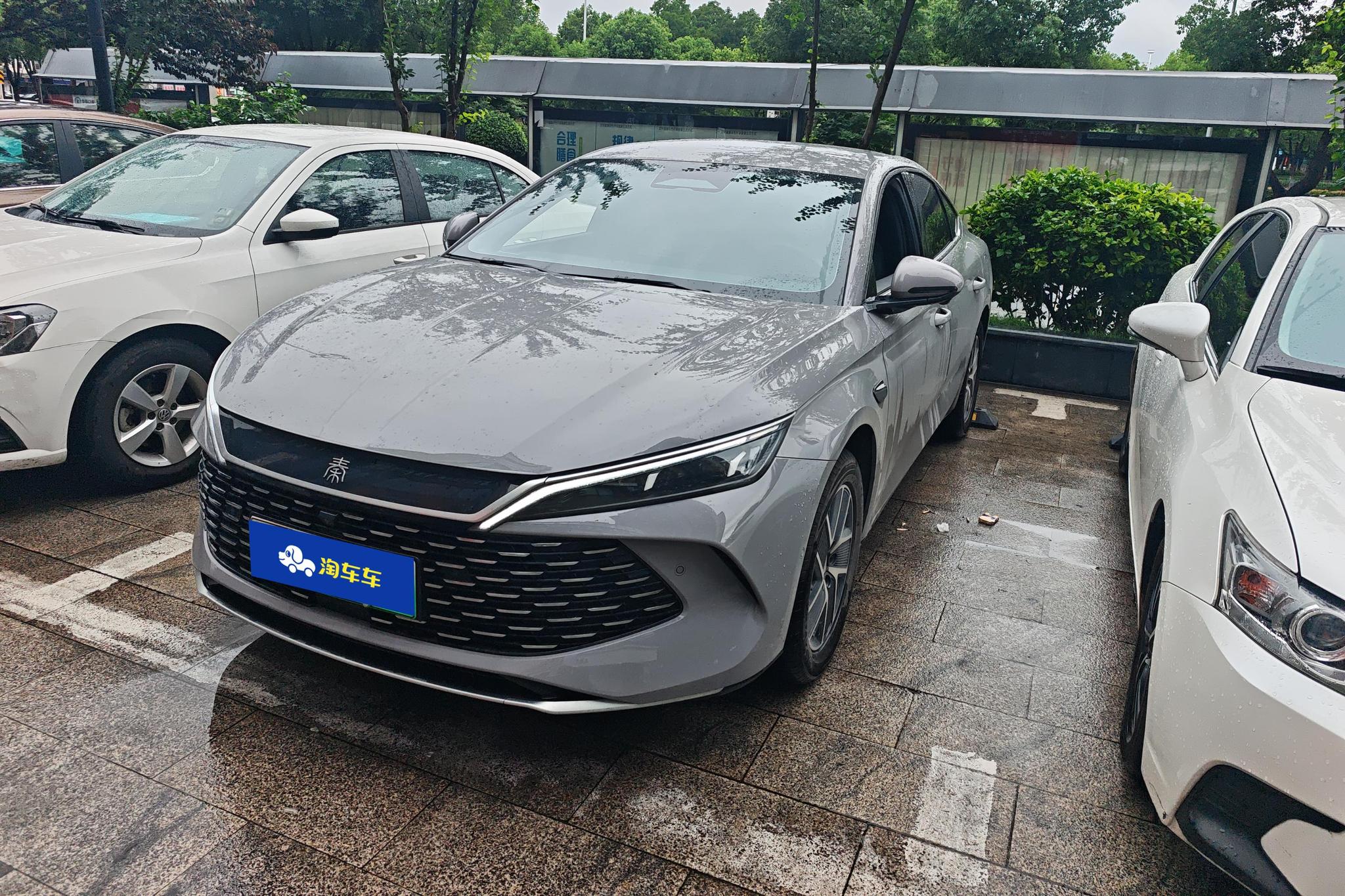 BYD Qin