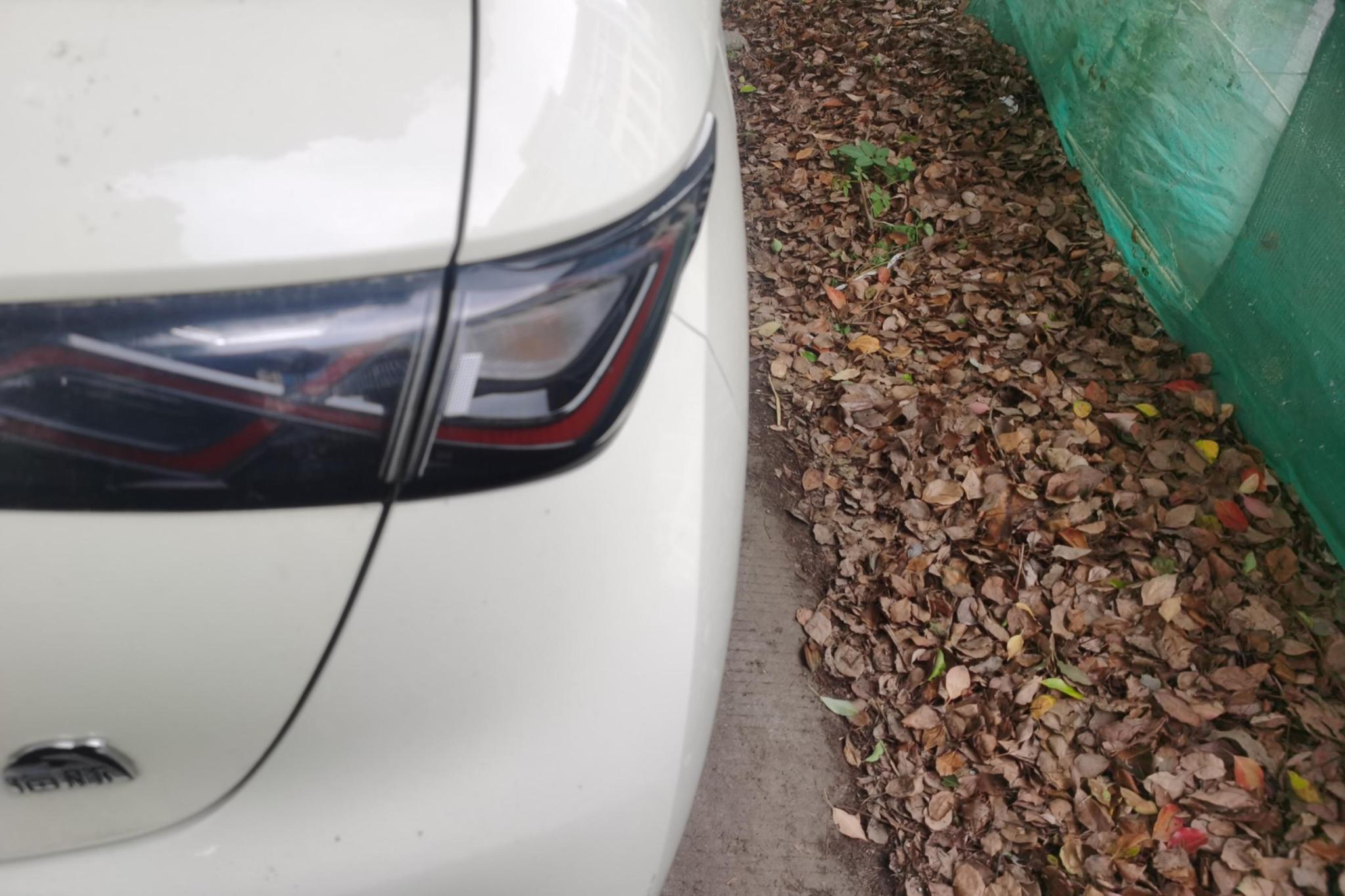 BYD Dolphin 2021 Fashion