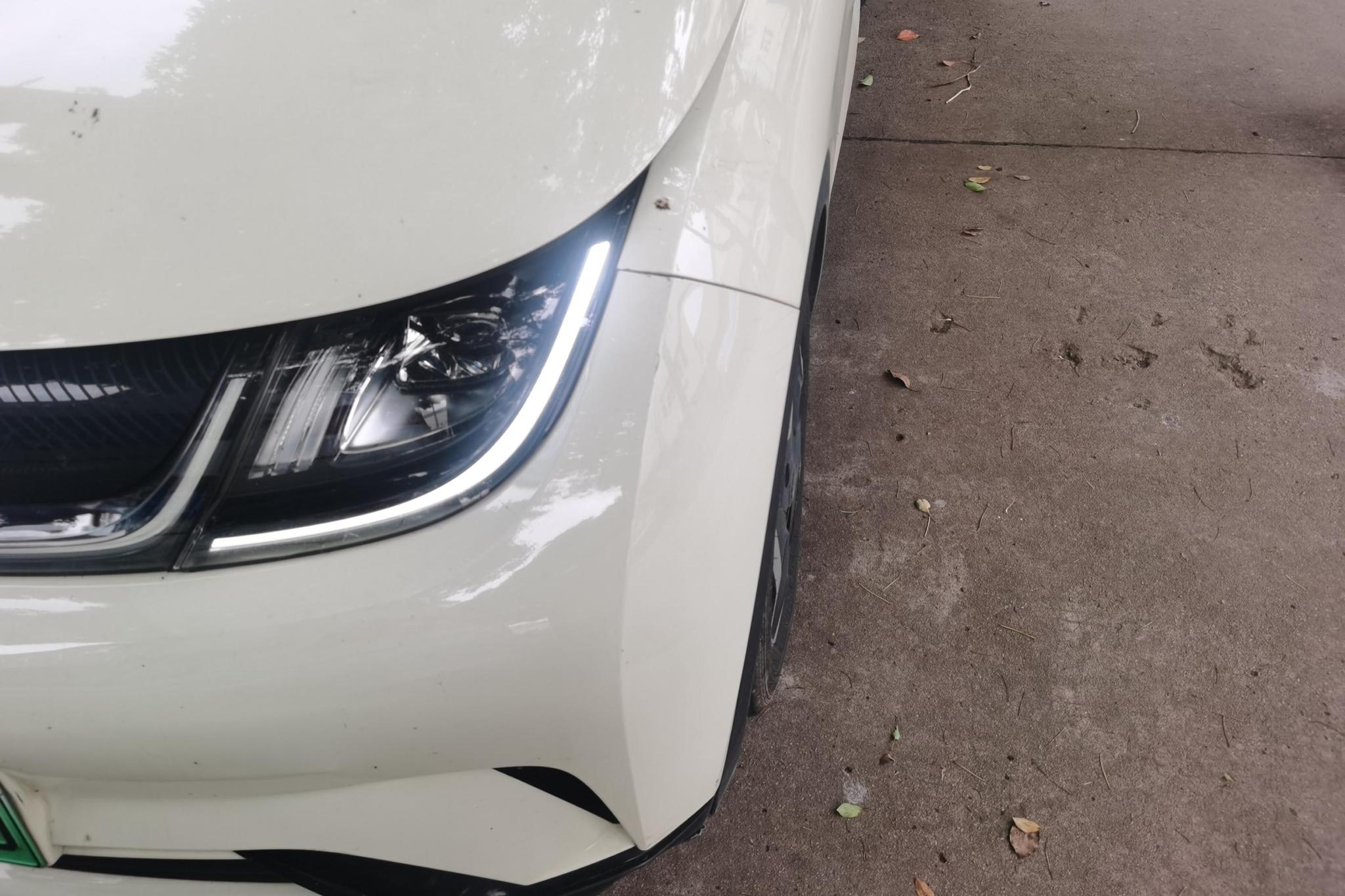 BYD Dolphin 2021 Fashion