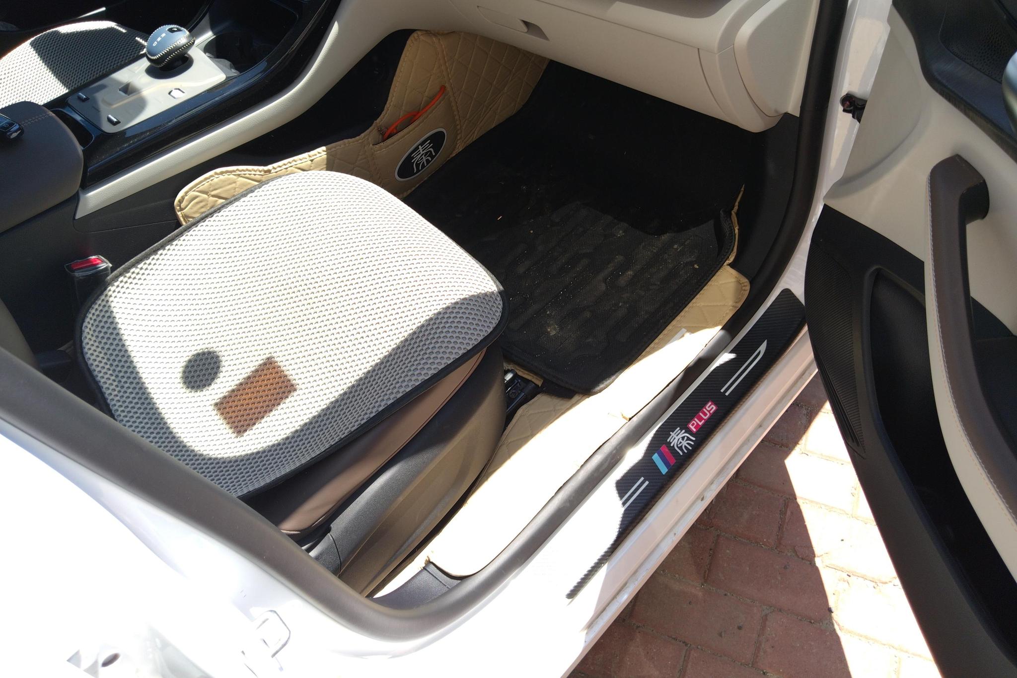 BYD Qin Plus DM-i PLUS DM 2024 DM-i 55KM Lead