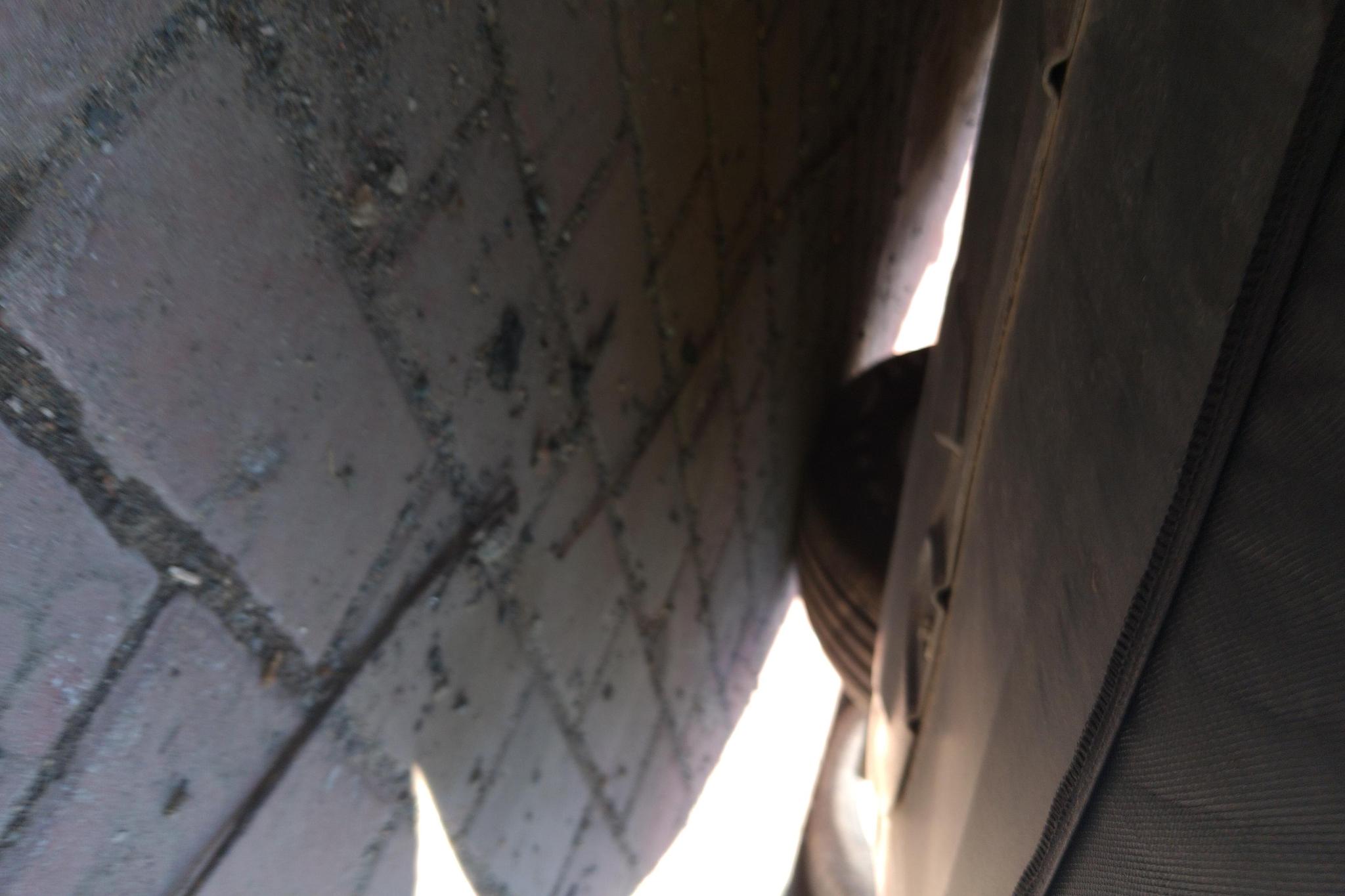 BYD Qin Plus DM-i PLUS DM 2024 DM-i 55KM Lead
