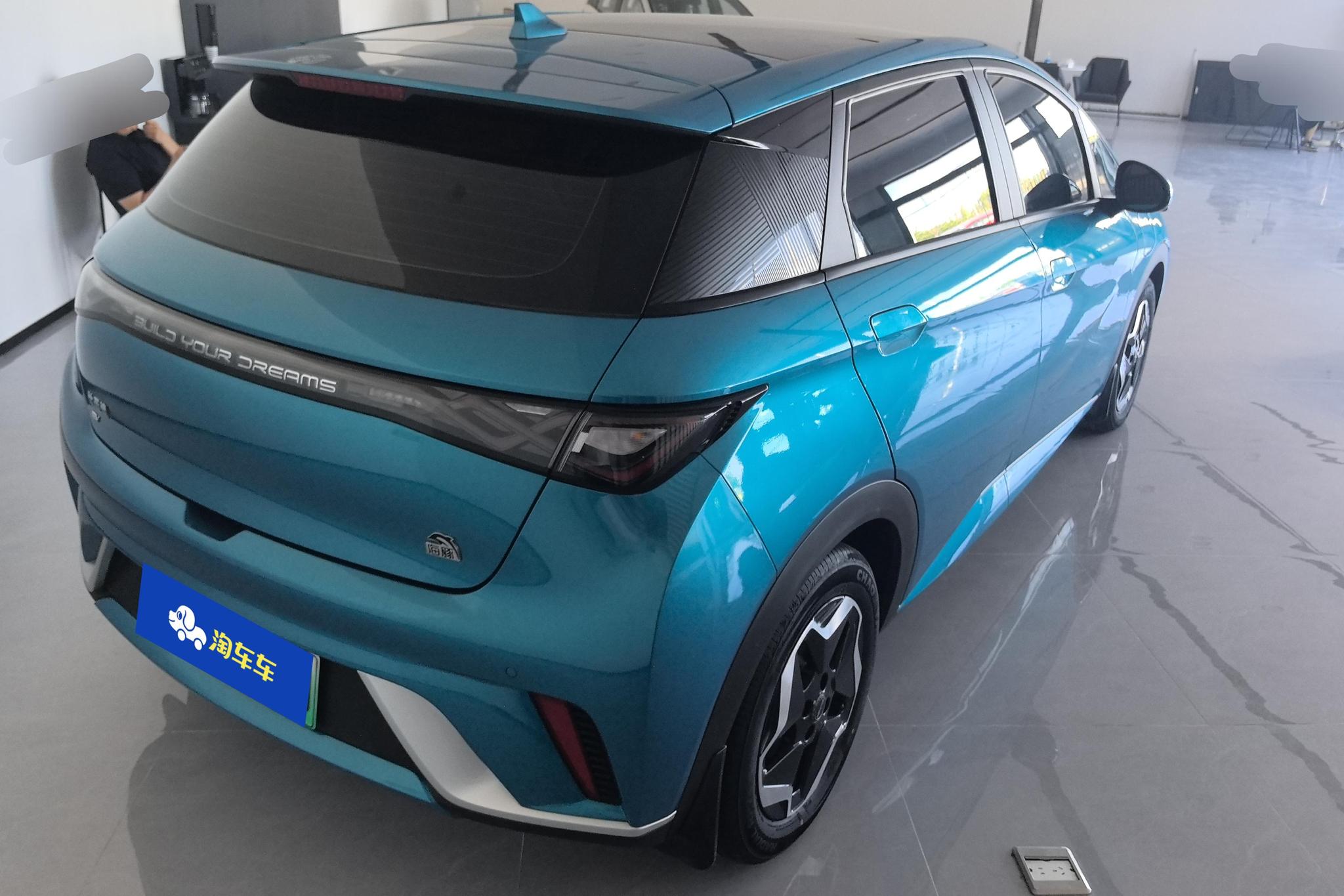 BYD Dolphin 2021 Fashion