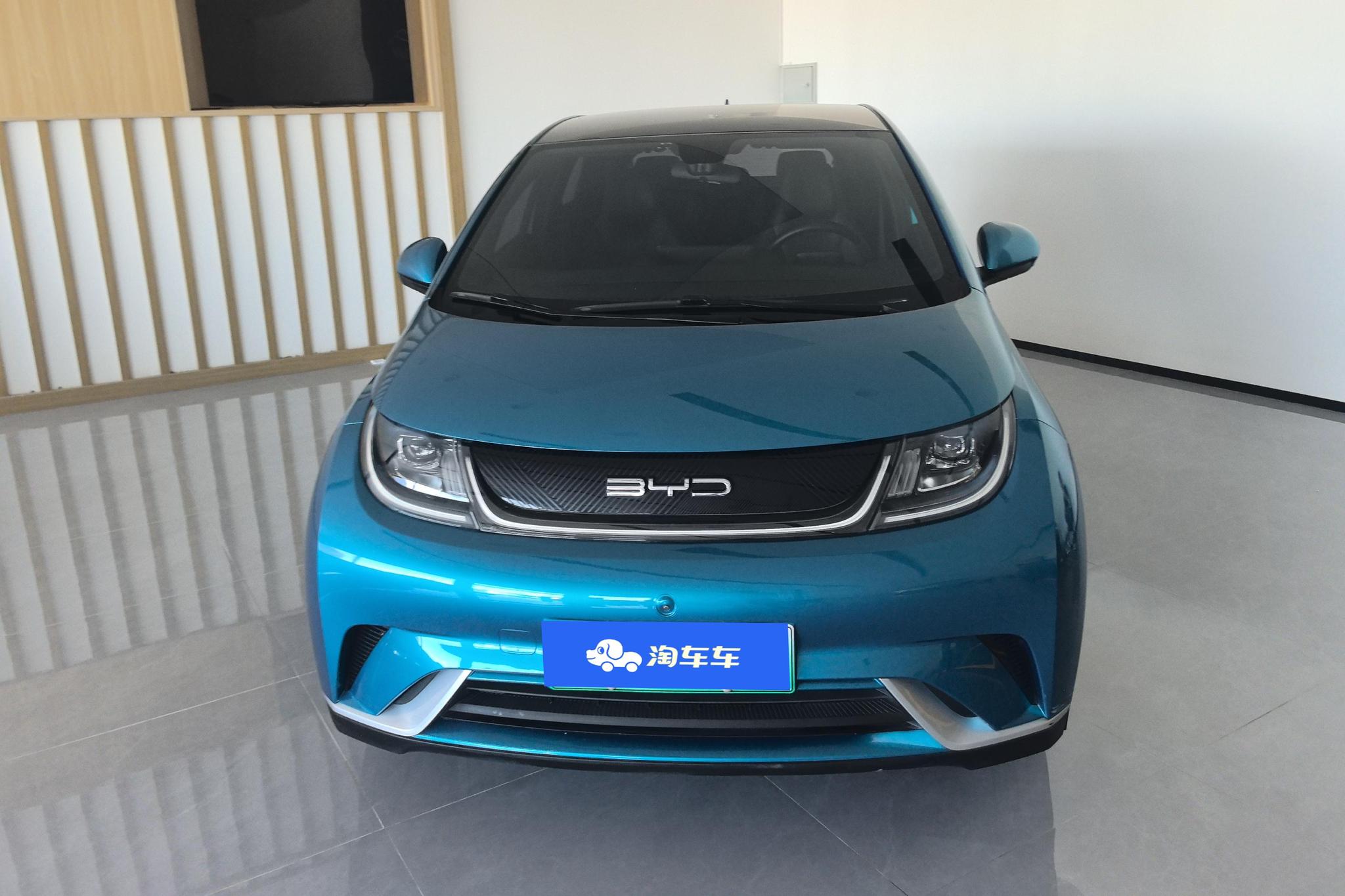 BYD Dolphin 2021 Fashion