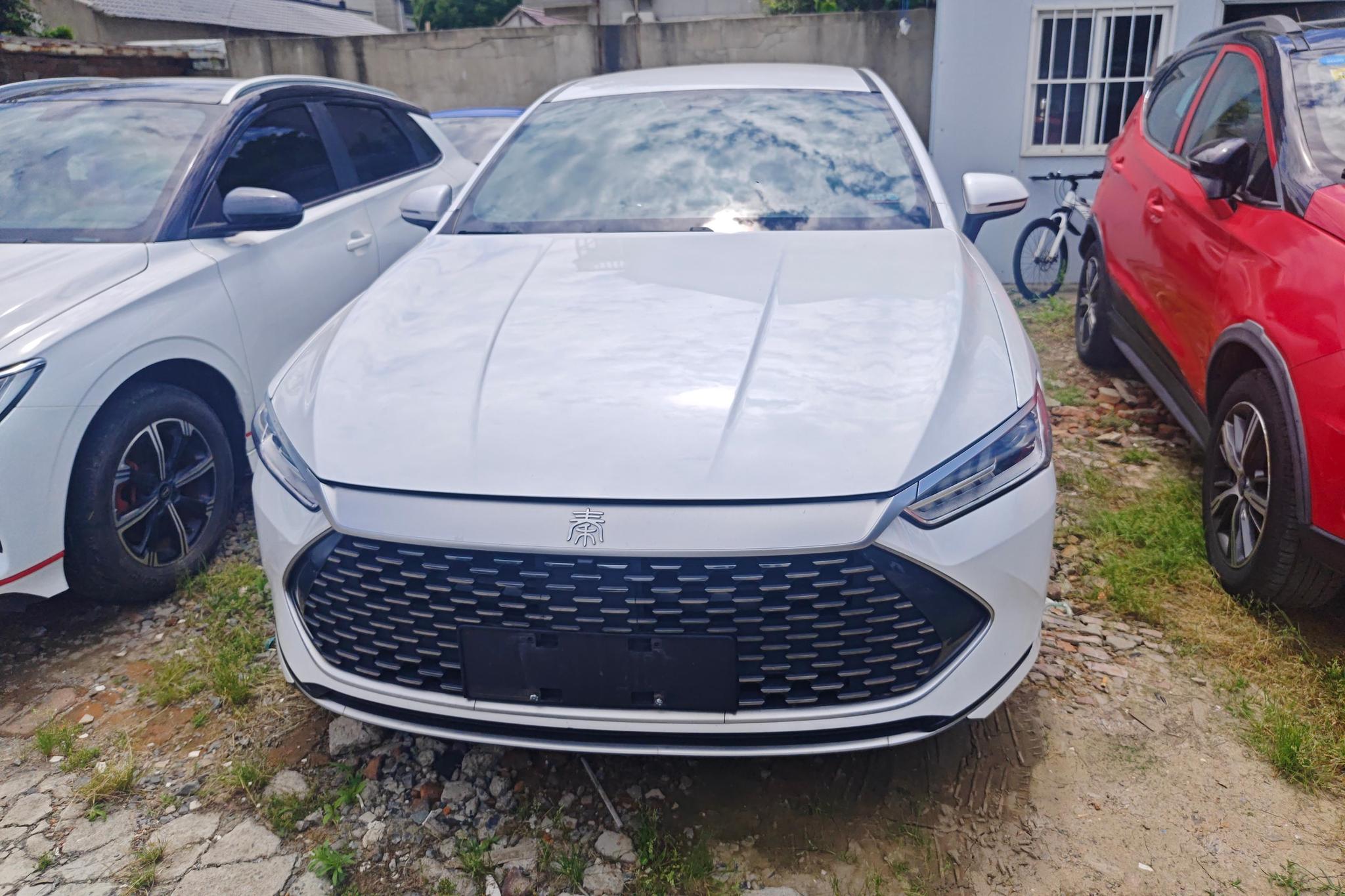 BYD Qin Plus DM-i PLUS DM 2024 DM-i 55KM Lead