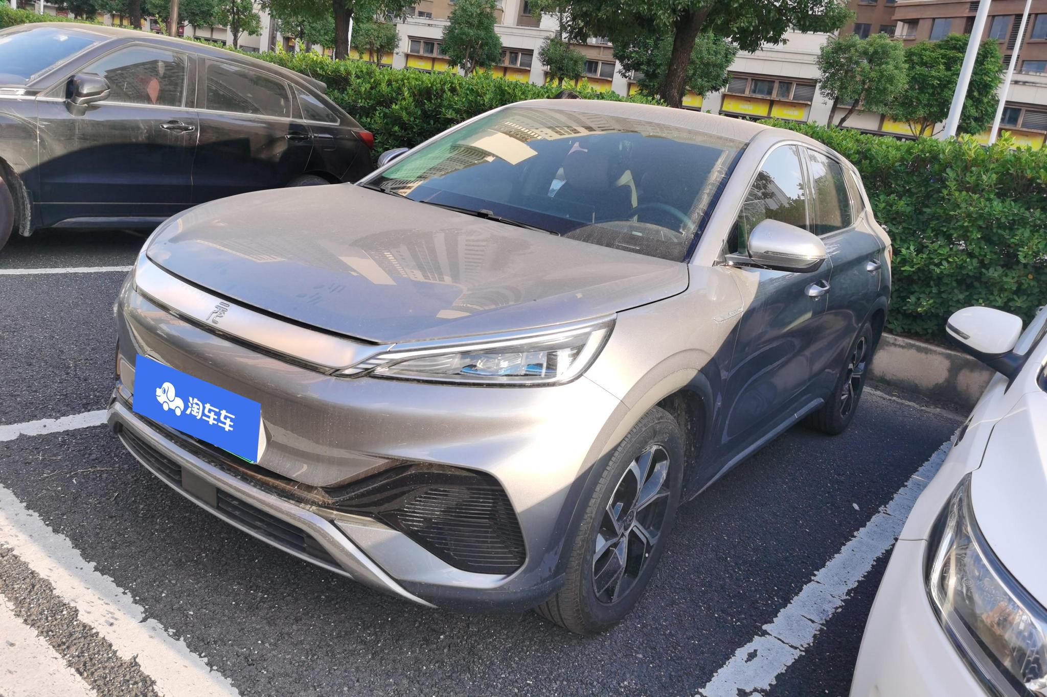 BYD PLUS