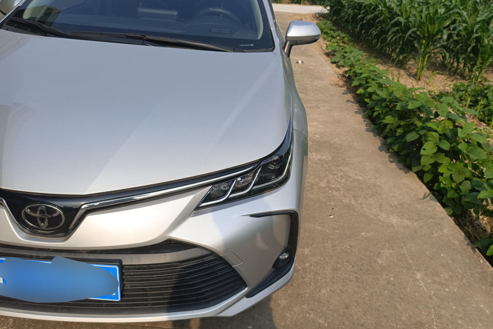 Toyota Corolla 2021 1.2T S-CVT PLUS