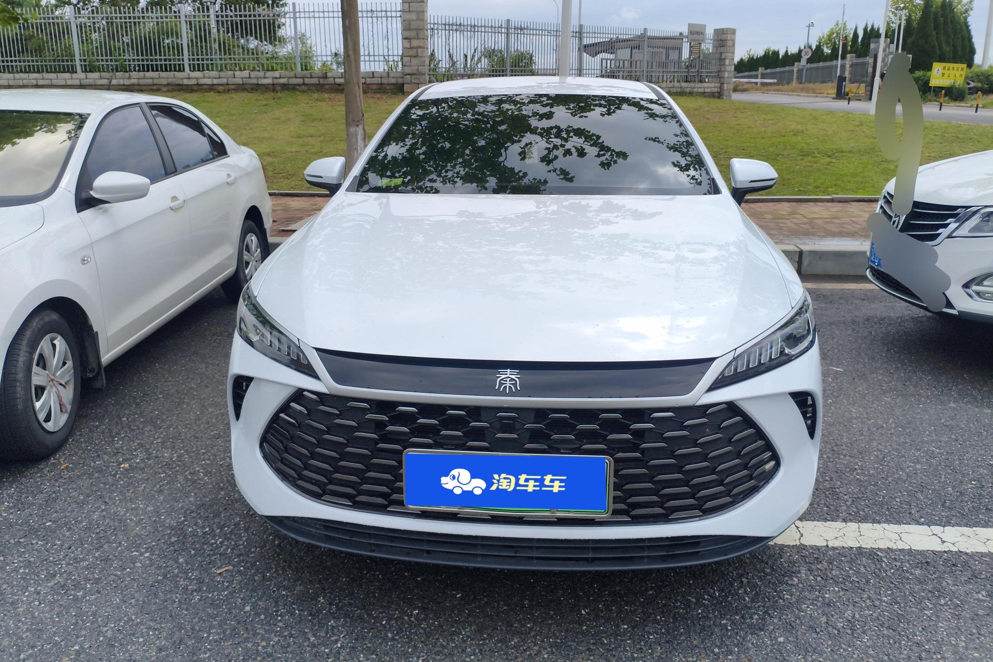 BYD Qin Plus DM-i PLUS DM 2025 Smart Drive DM-i 55KM Lead