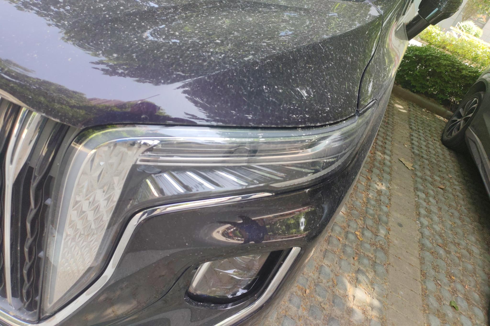 Hongqi HQ9