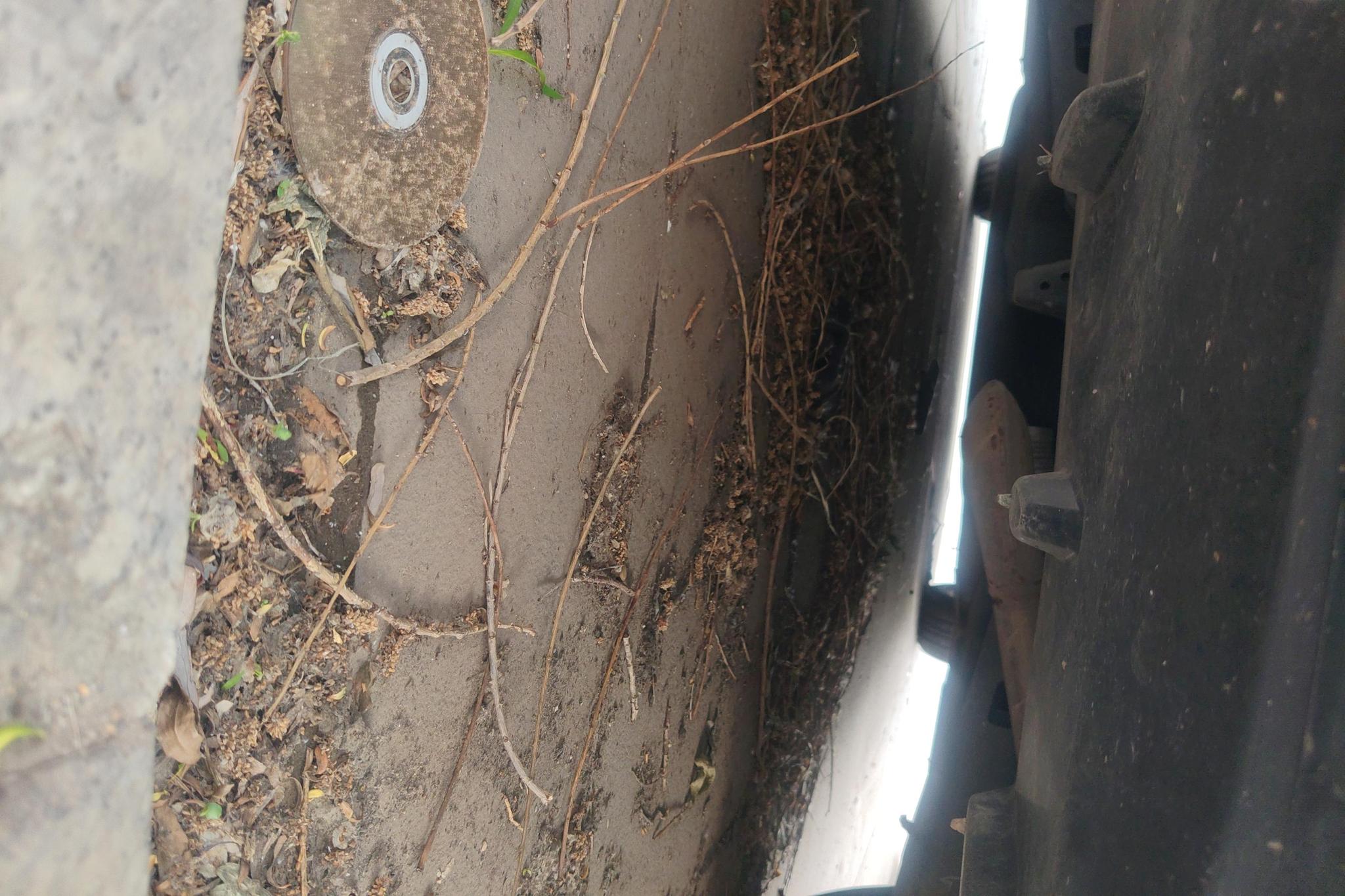Toyota Lei Ling id 4437834 из Китая 16