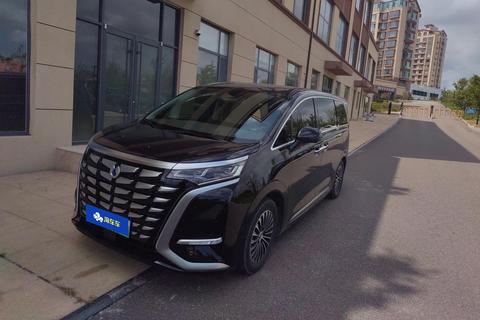 DENZA D9 DM