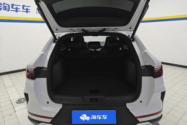 BYD SONG PLUS EV 2021 — фото 17