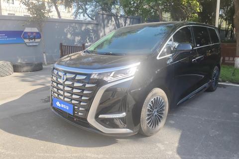 DENZA D9 DM