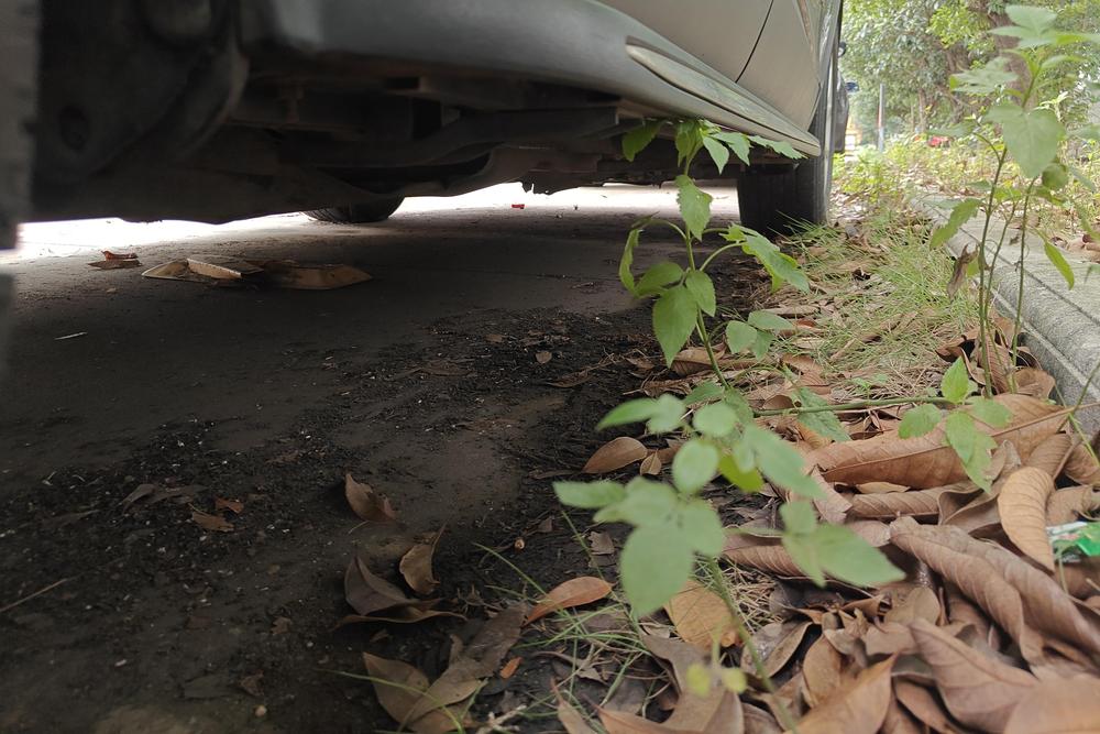 Jeep Cherokee, фото 4